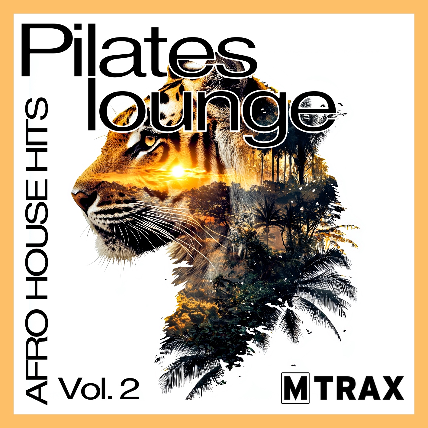 MTRAX Pilates Lounge - Afro House Hits 2 (CD)
